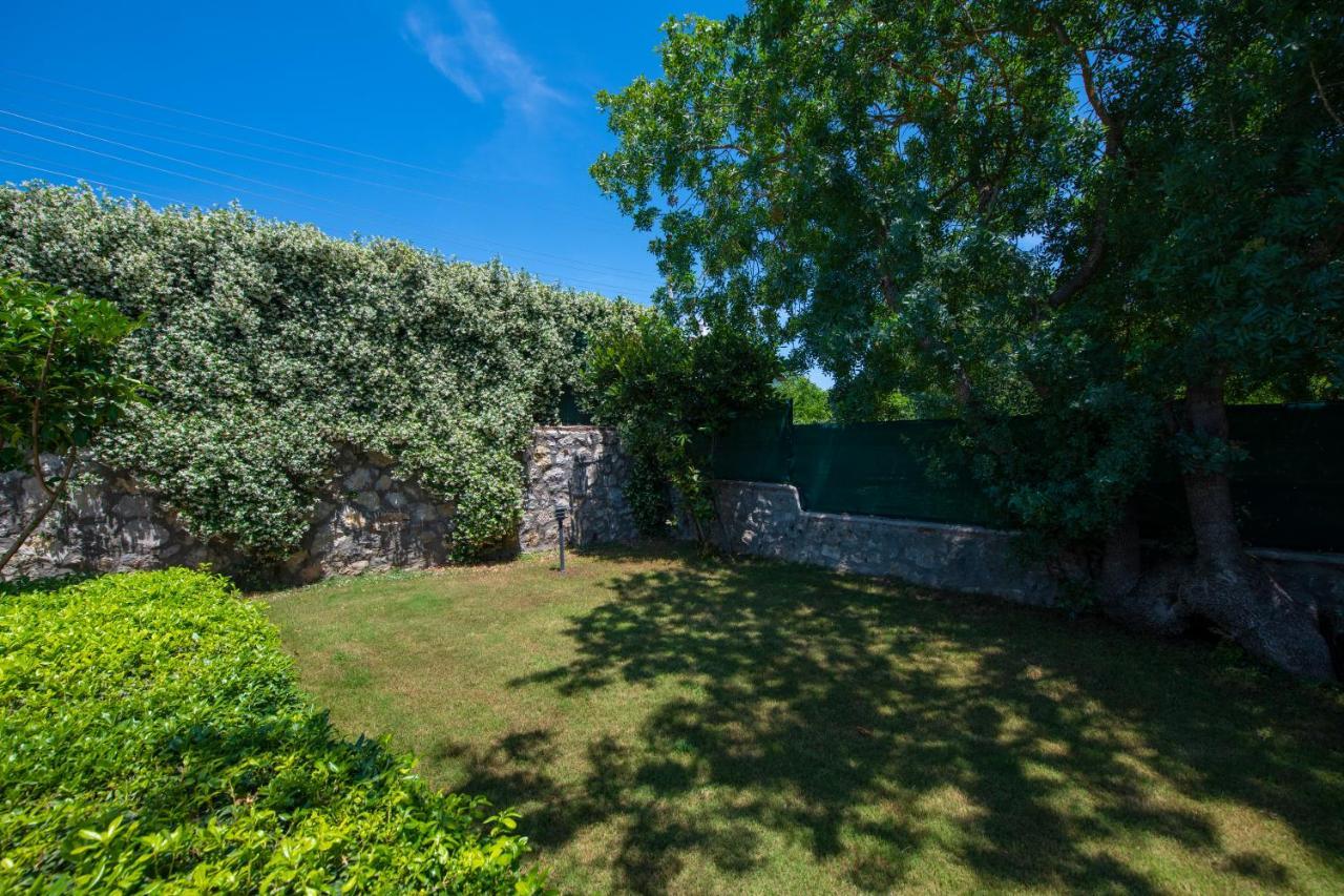 Eroglu Villas フェティエ エクステリア 写真